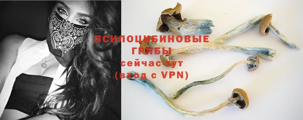 дурь Верея