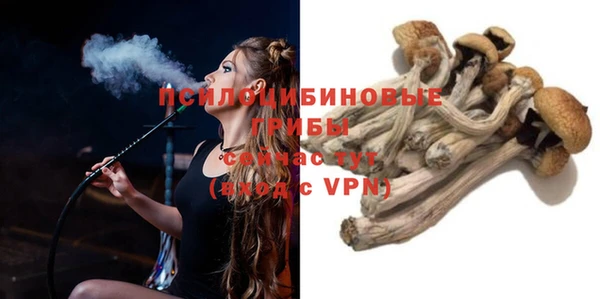 прущая мука Пестово