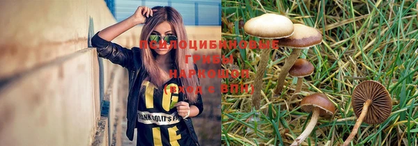 дурь Верея