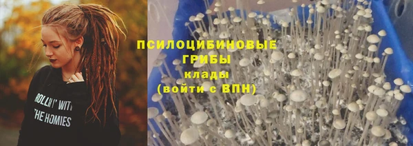 дурь Верея